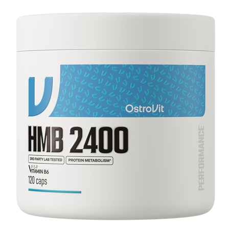 OstroVit HMB 2400 мг 120 капсул